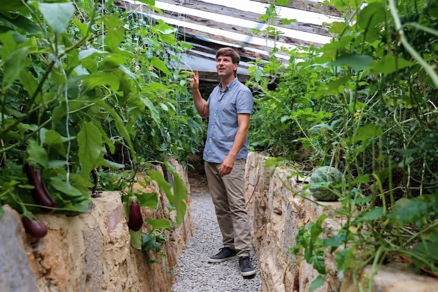 Samuel Fourdrinier dans sa serre walipini semi-enterrée entouré de cultures